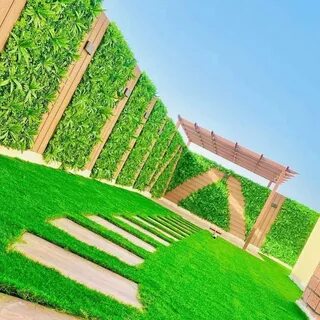 العشب الجداري