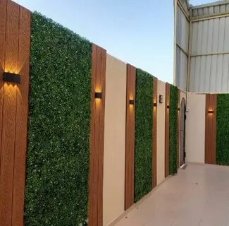 عشب جدارى فى الرياض 