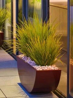 إنشاء احواض زراعية بالرياض