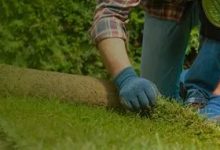 زراعة ثيل طبيعى بالرياض