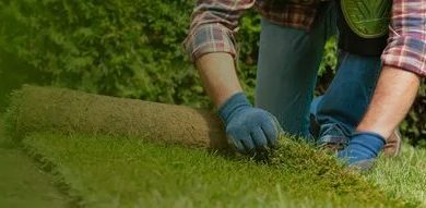 زراعة ثيل طبيعى بالرياض