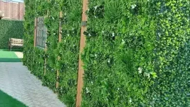 تركيب الثيل الطبيعي