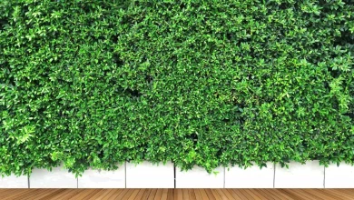 شركة تركيب عشب صناعي بالرياض